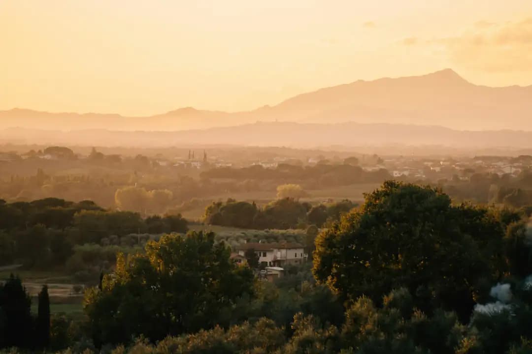 Volg een bijbel leesplan met BijbelAssistent Gouden zonsondergang over heuvels met olijfbomen - dagelijks bijbel leesplan